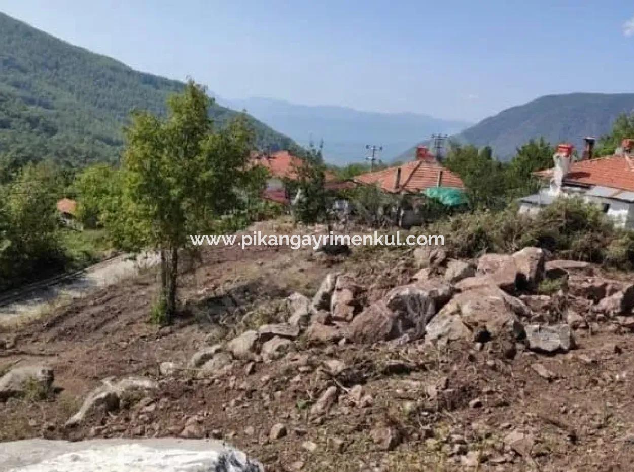 Muğla Köyceğiz Yayla Mah 570 M2 Land For Sale