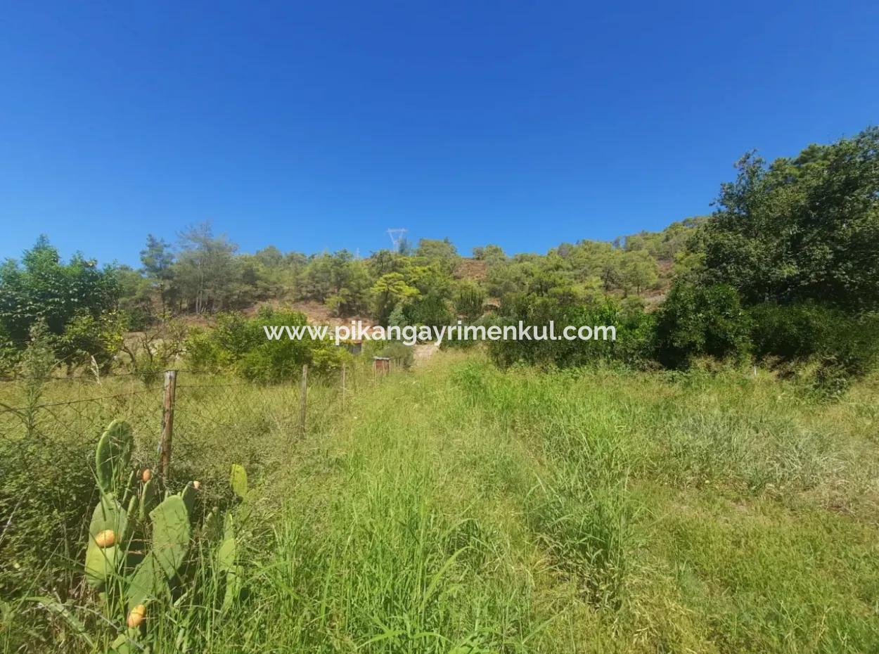 Muğla Ortaca Çaylıda 600 M2 Residential Zoned Bargain Land For Sale