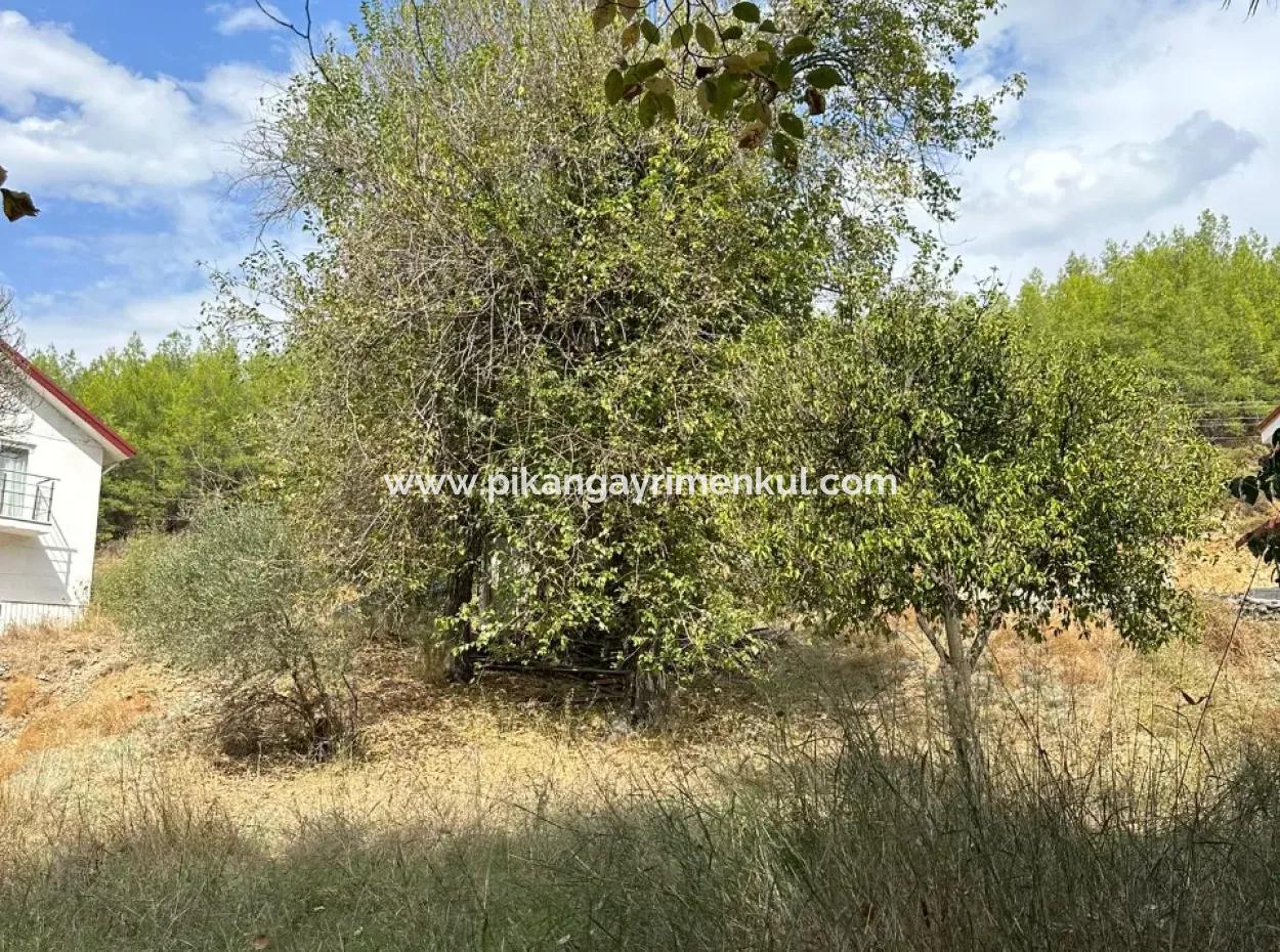 For Sale And In Koycegiz 1026 M2