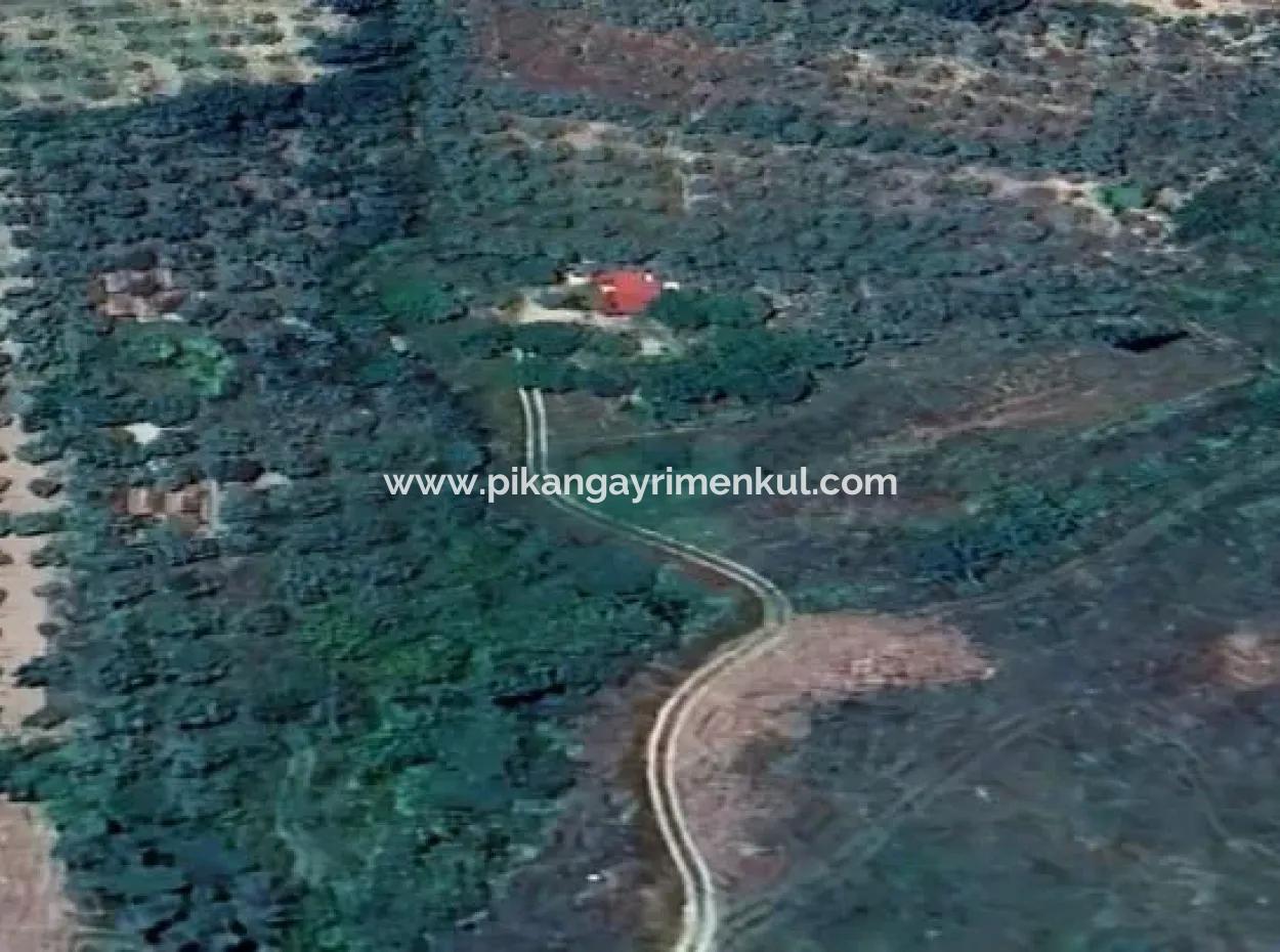 6350 M2 Field For Sale In Muğla Menteşe Kafaca