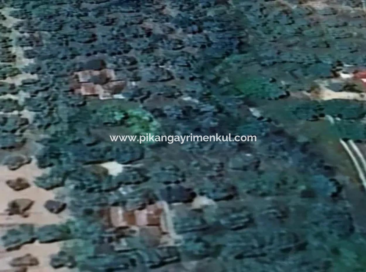 6350 M2 Field For Sale In Muğla Menteşe Kafaca