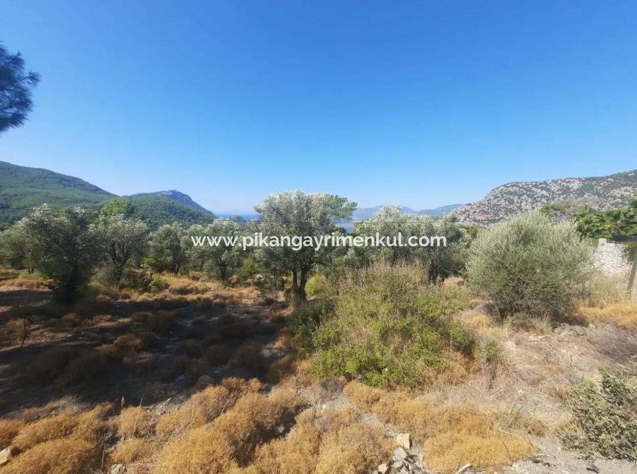 1.361 M² Investment Land With Lake And Sea View For Sale In Muğla Ortaca Gökbel