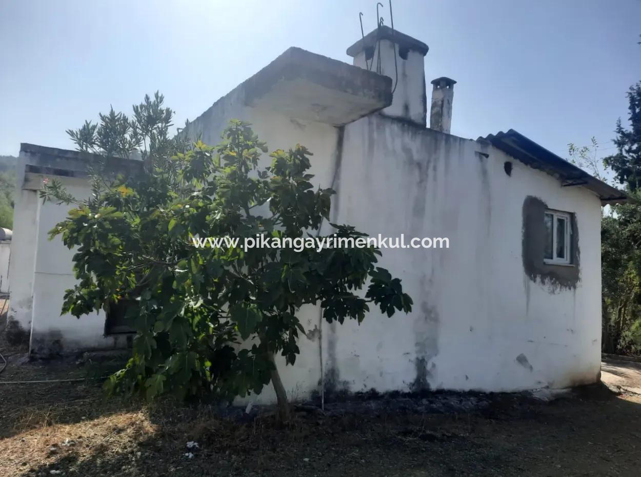 4 000 M2 Detached Land 3 Village House For Sale In Köyceğiz Kavakası
