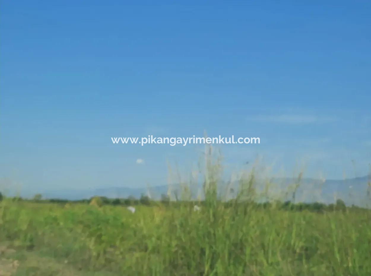 2 650 M2 Fertile Land For Sale In Köyceğiz Poplar