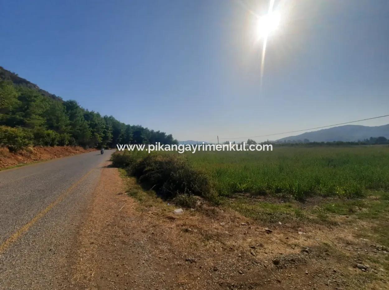 Muğla Ortaca Ekşiliyurt 8.000 M2 Fertile Land For Sale