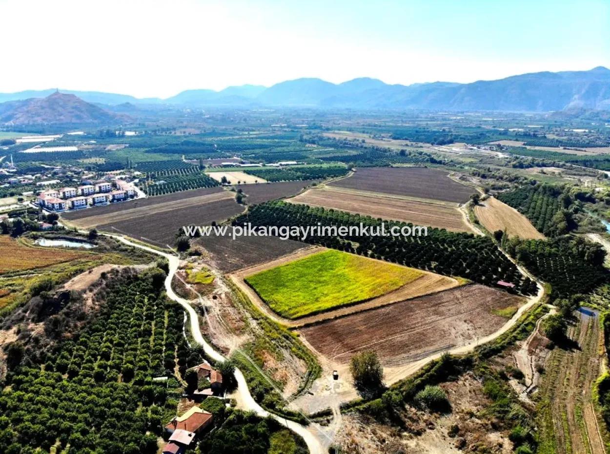 179 000 M2 Of Productive Agricultural Land Suitable For Zero Zoning Investment In Muğla Dalaman Is For Sale