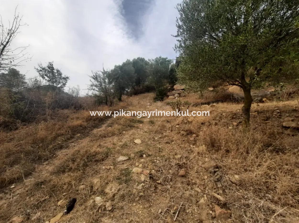 2 500 M2 Treasury Land In Eskiköy Possession Right Will Be Transferred Or Vehicle Exchanged