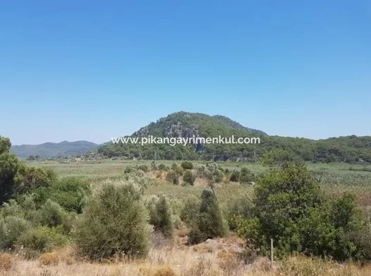 14.300 M² Rental Land In Ortaca Sarıgerme, Muğla – Suitable For Tourism And Commercial Investment