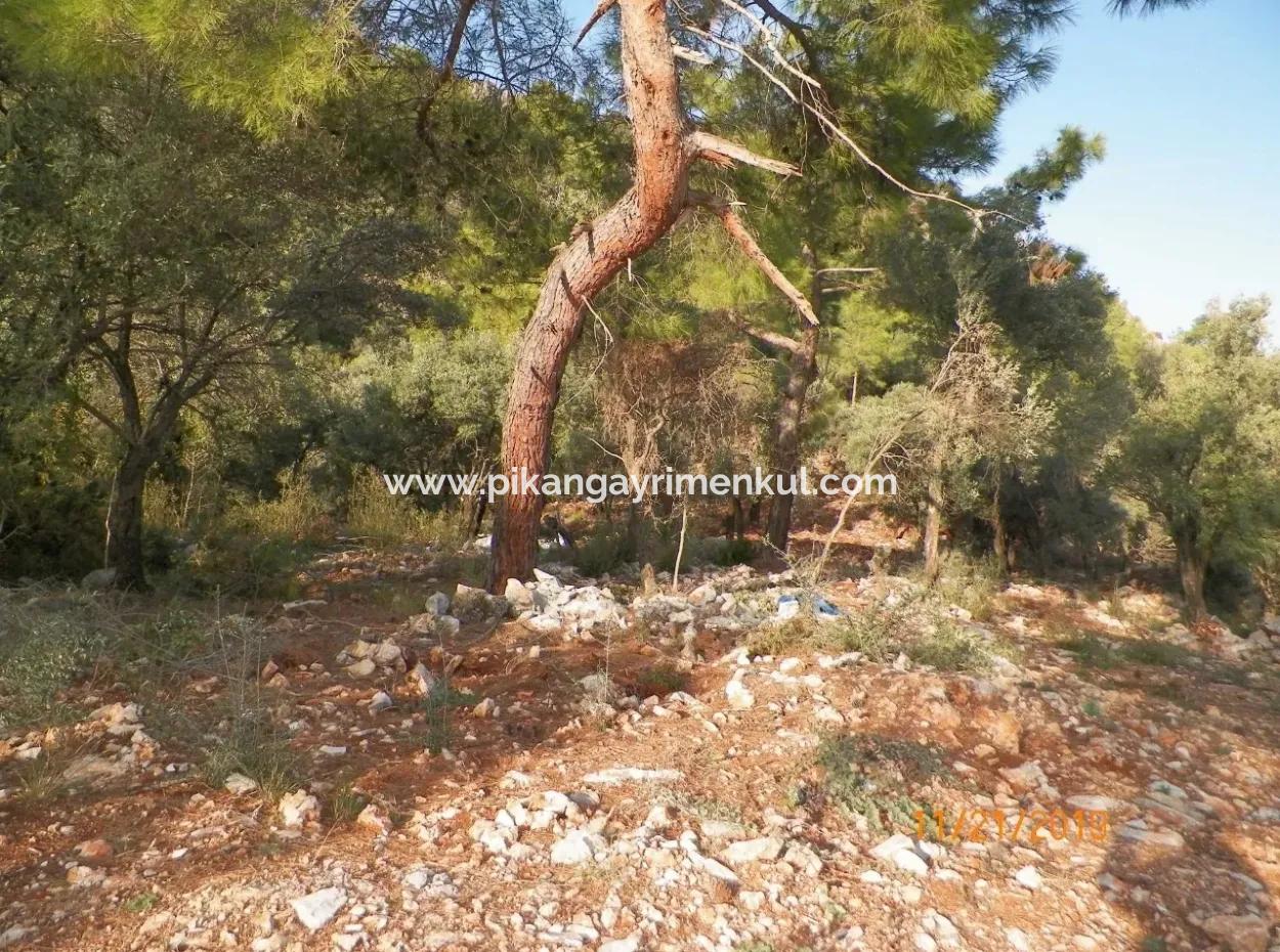 Fevziye Land For Sale With Sea View