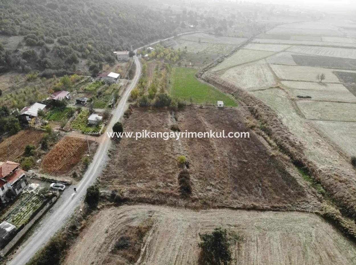 5 000 M2 Detached Title Deed Deposit Suitable For Sale In Çameli Belevide Bargain Field For Sale