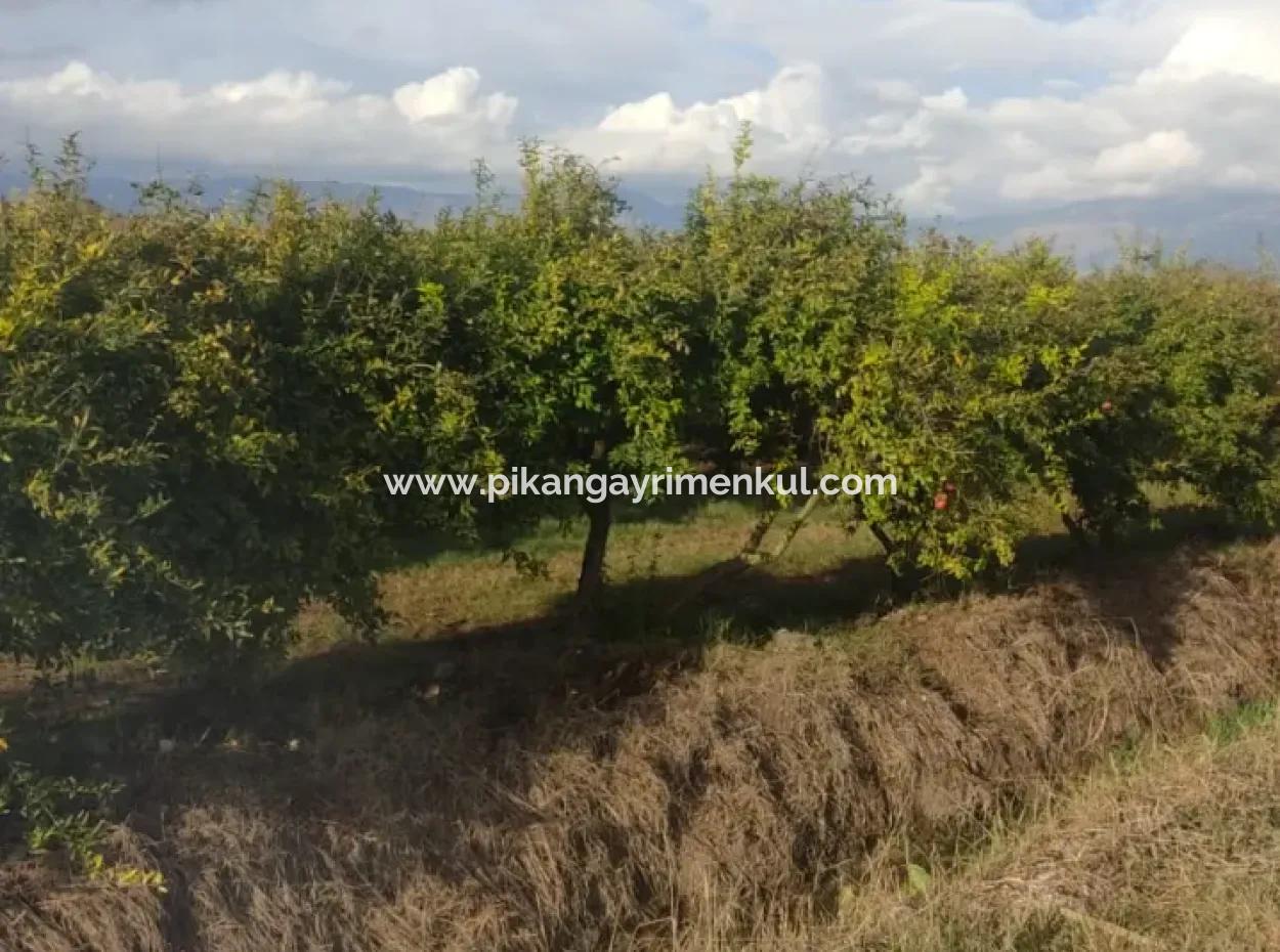 7833 M2 Detached Field For Sale In Muğla Ortaca Eskiköy