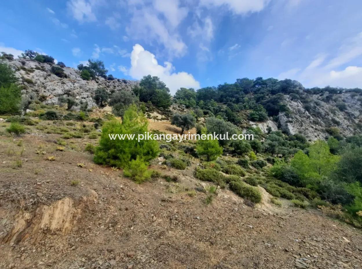 Muğla Dalyan Gökbelde 7 270 M2 Detached Title Deed Sea And Lake View Land For Sale