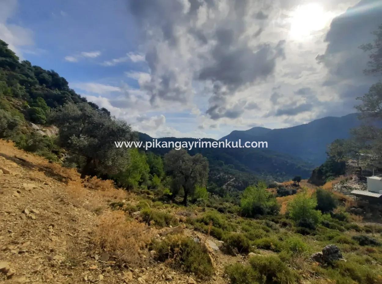 Muğla Dalyan Gökbelde 7 270 M2 Detached Title Deed Sea And Lake View Land For Sale