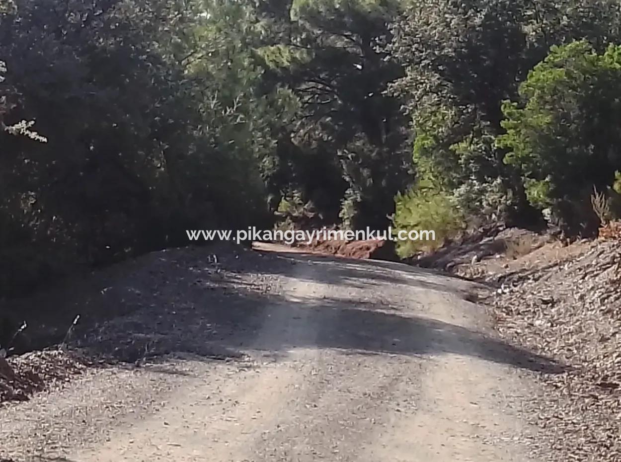 Muğla Dalyan Gökbelde 7 270 M2 Detached Title Deed Sea And Lake View Land For Sale
