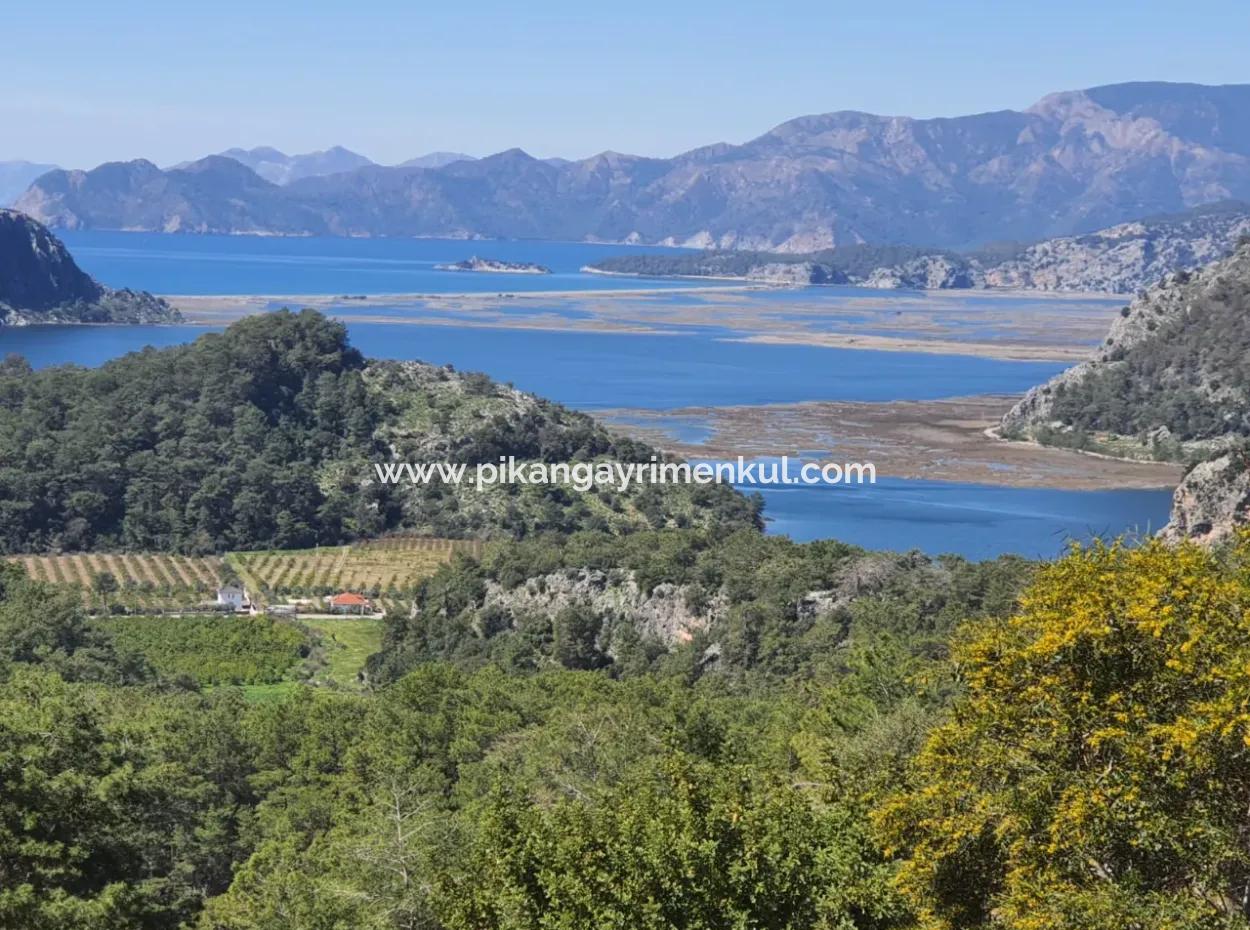 4 1 Sea View Detached Furnished Villa For Sale In Muğla Dalyan Gökbel