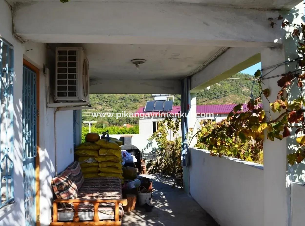 3 Apartments For Sale In Ta Eksiliyurt