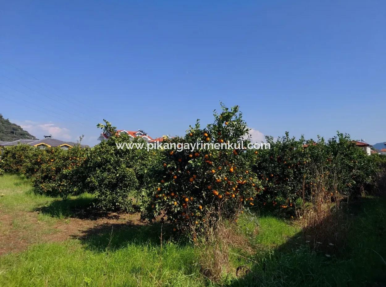 722 M2 Zoned Detached Land For Sale In Dalyan, Muğla