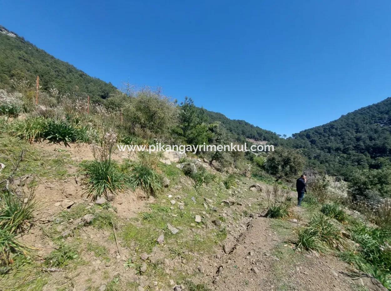 Ortaca Gökbelde Detached 12 132M2 Bargain Land In Nature For Sale