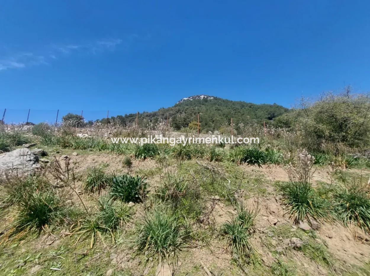 Ortaca Gökbelde Detached 12 132M2 Bargain Land In Nature For Sale