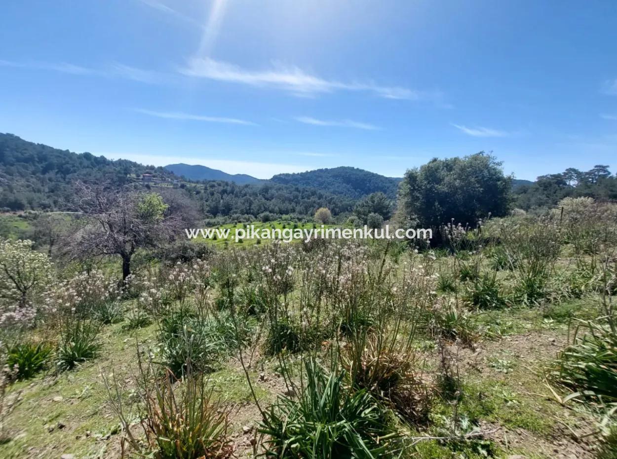 Ortaca Gökbelde Detached 12 132M2 Bargain Land In Nature For Sale