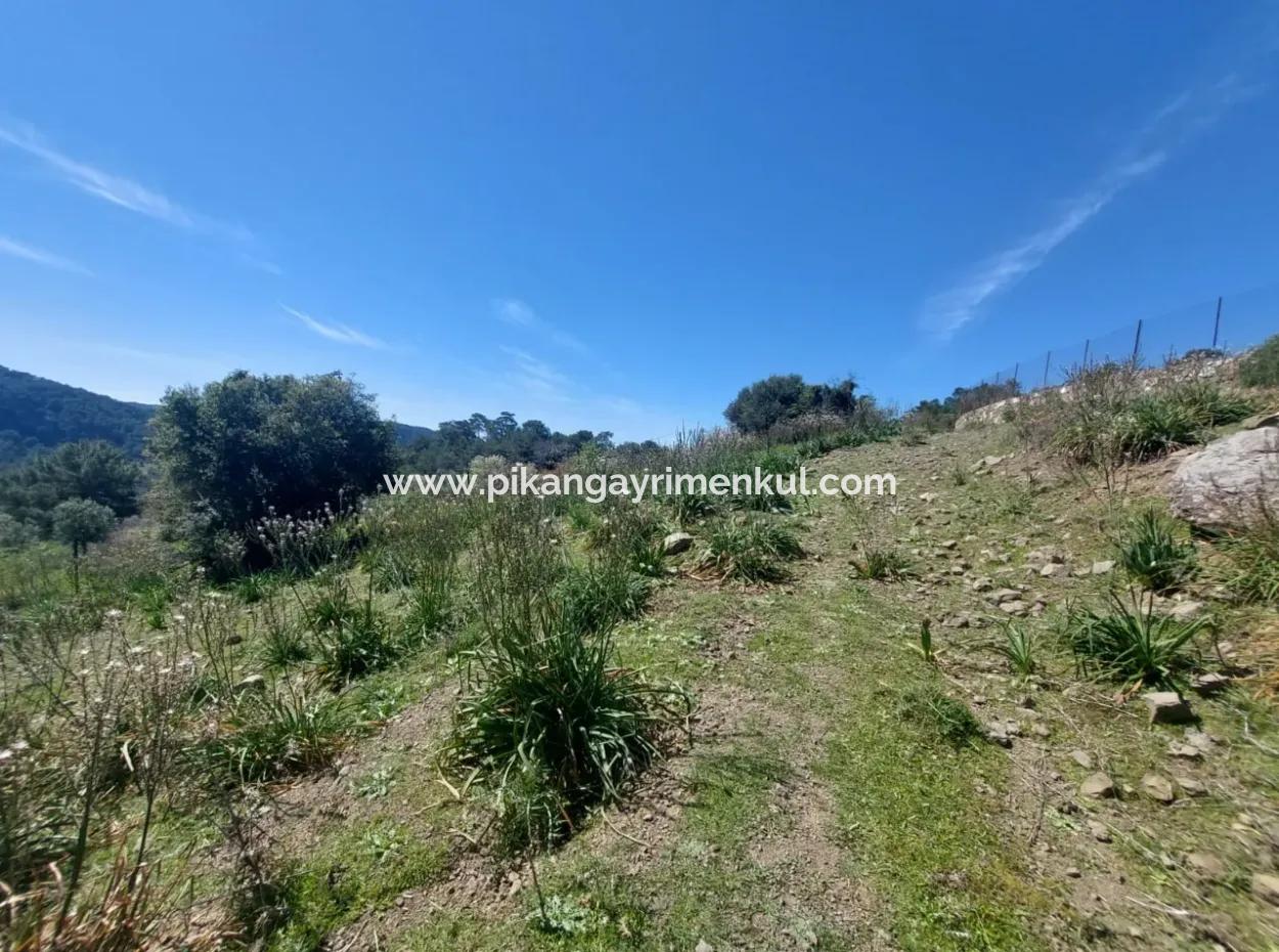 Ortaca Gökbelde Detached 12 132M2 Bargain Land In Nature For Sale
