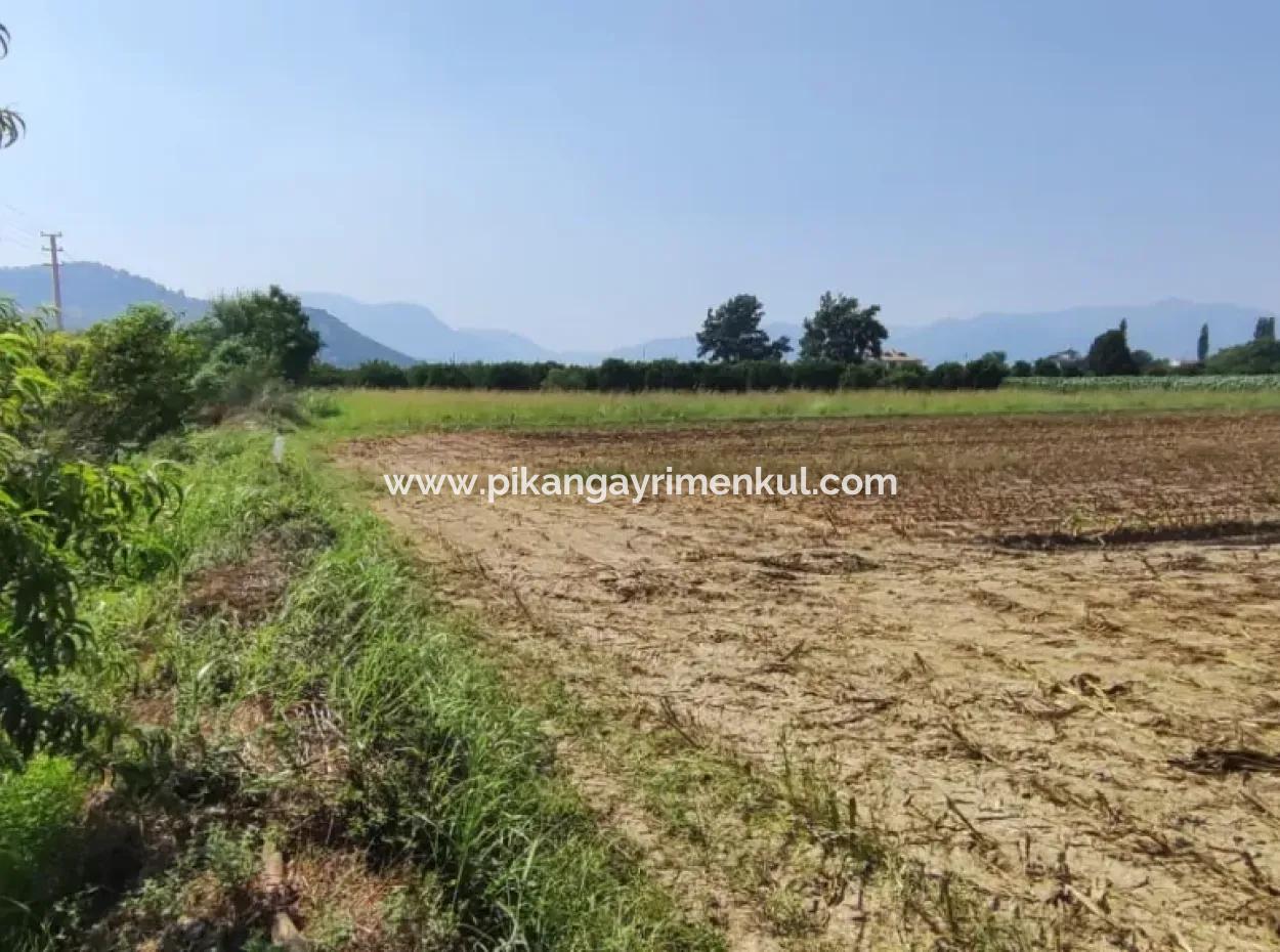 Rızai Taksimli 798 M2 Field For Sale In Muğla Ortaca Fevziye Neighborhood