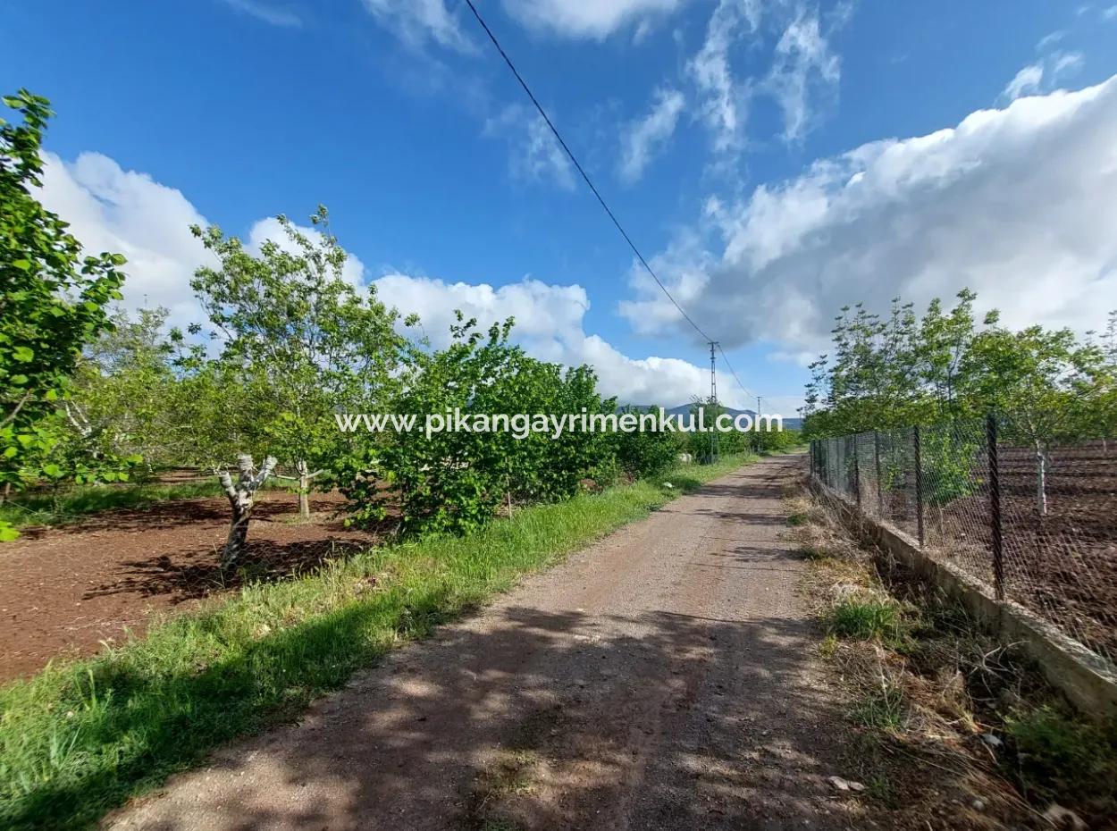 1000 M2 Land In Çameli Kızılyaka, For Sale Or Exchange For 2 1 Apartments In Ortaca