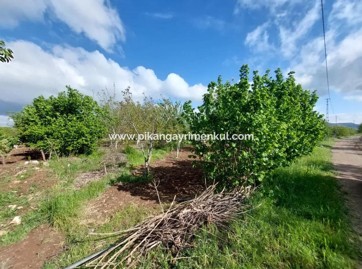 1000 M2 Land In Çameli Kızılyaka, For Sale Or Exchange For 2 1 Apartments In Ortaca