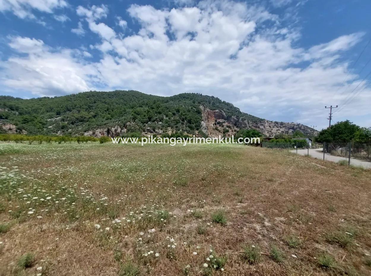 Köyceğiz Çandırda Detached Title Deed 33.800 M2 Field For Sale