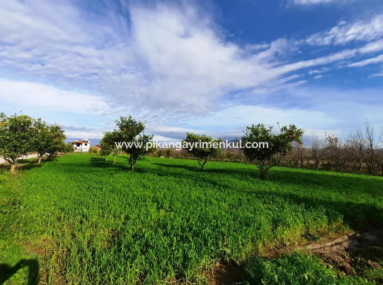 1500 M2 Detached Land In Nature For Sale In Ortaca Okçular