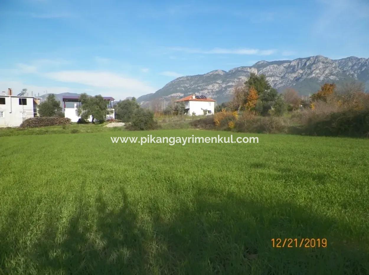 Land For Sale In Bargain Detached Zeytinalani