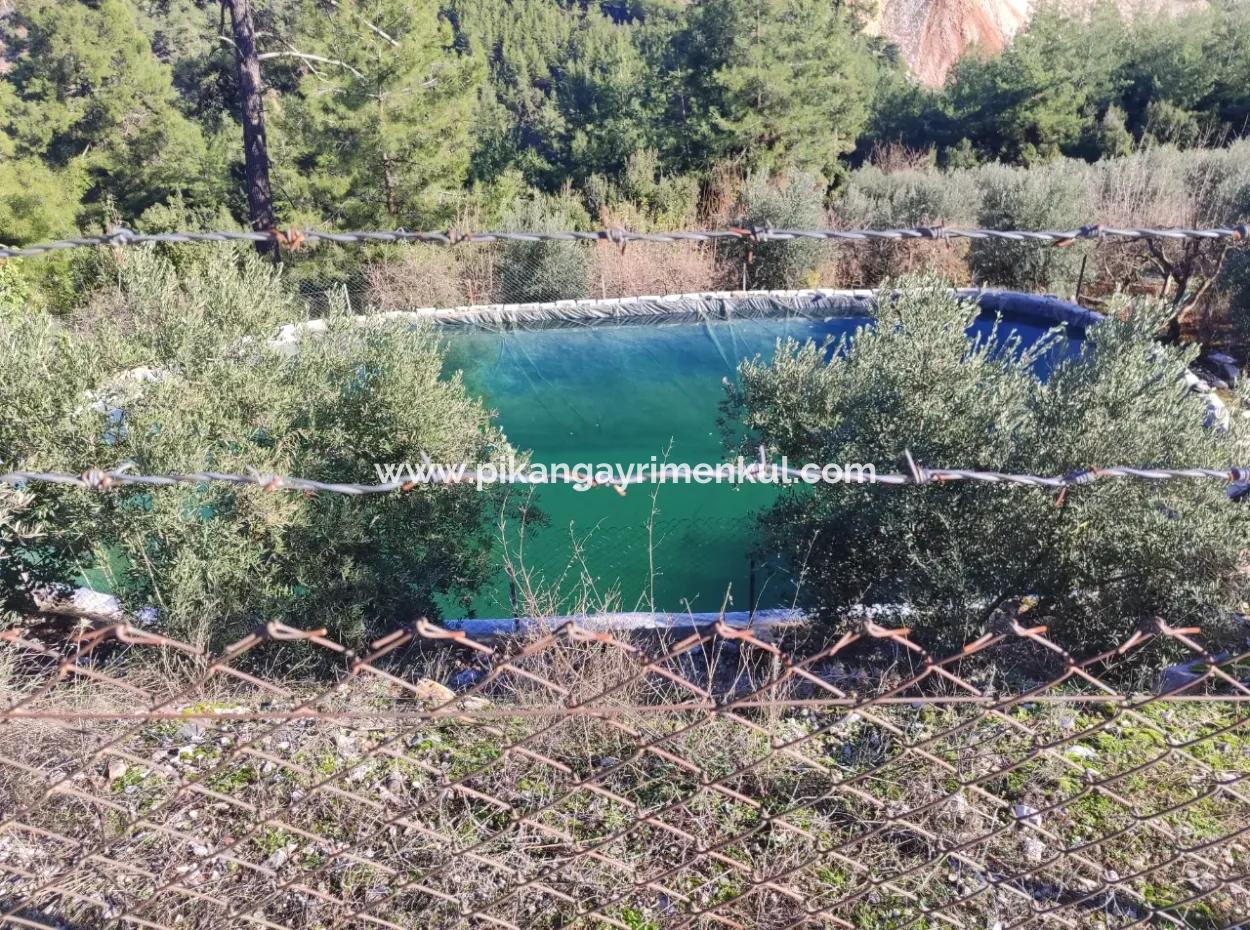 120 M2, 3 1 Single Storey House For Sale On 8500 M2 Land With Sea And Nature View In Antalya Finike Alacadağ