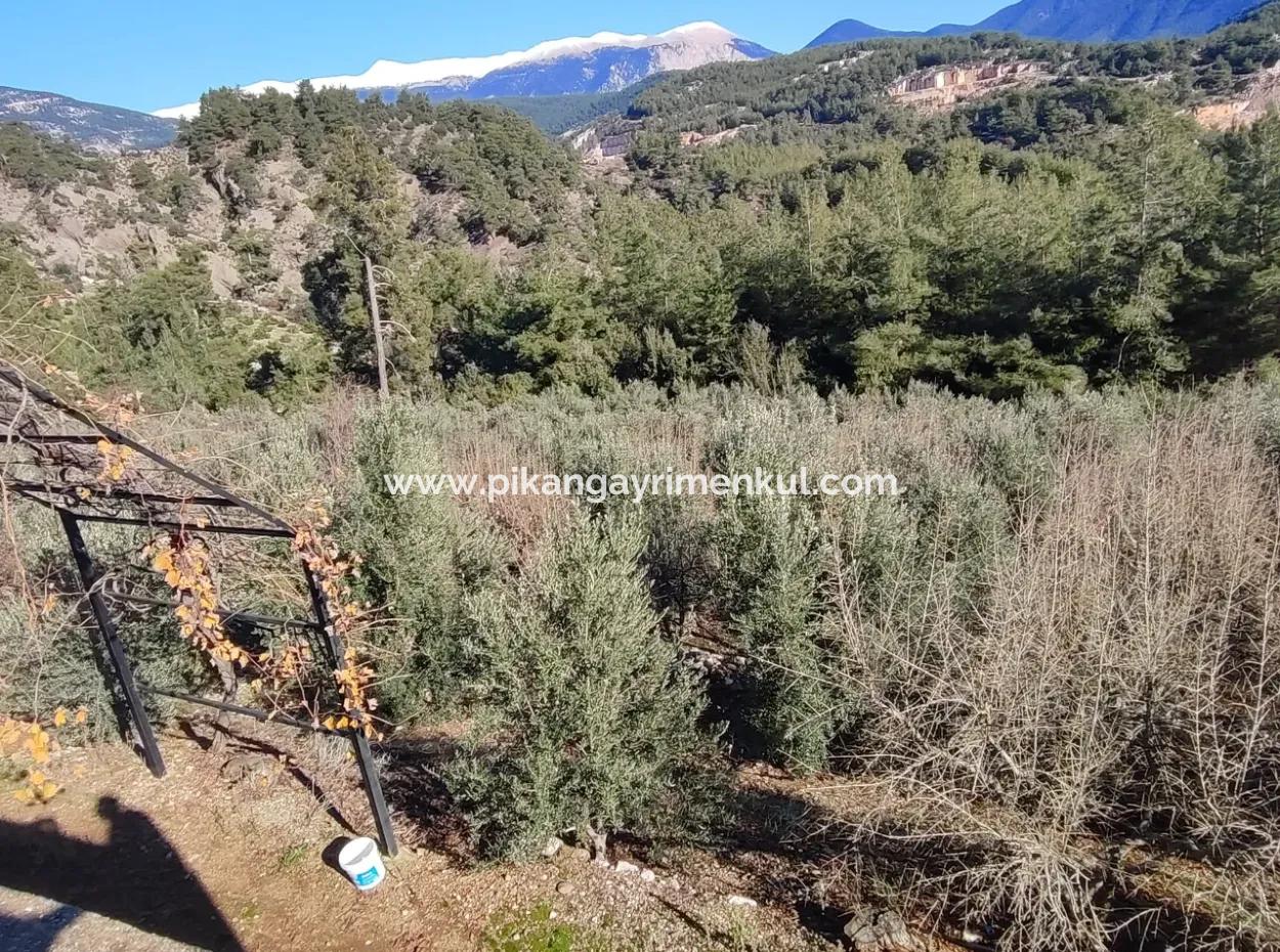 120 M2, 3 1 Single Storey House For Sale On 8500 M2 Land With Sea And Nature View In Antalya Finike Alacadağ