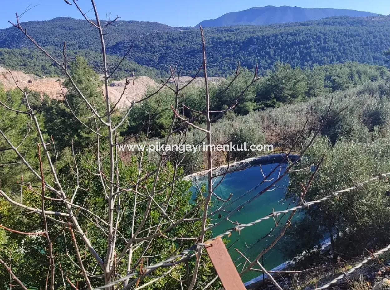 120 M2, 3 1 Single Storey House For Sale On 8500 M2 Land With Sea And Nature View In Antalya Finike Alacadağ