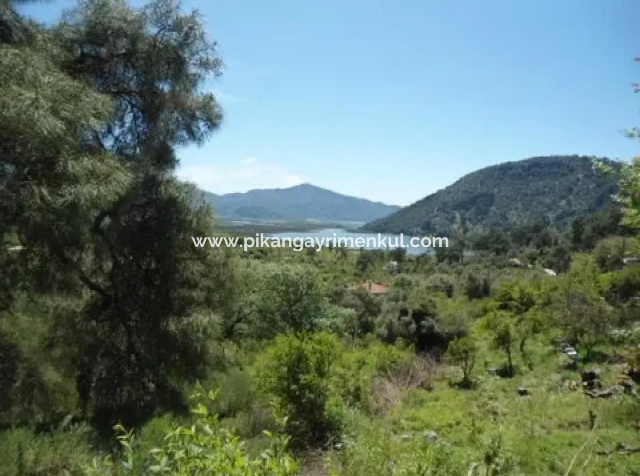 Village House With Lake View And Olive Grove Land For Sale In Köyceğiz Çandır, Muğla