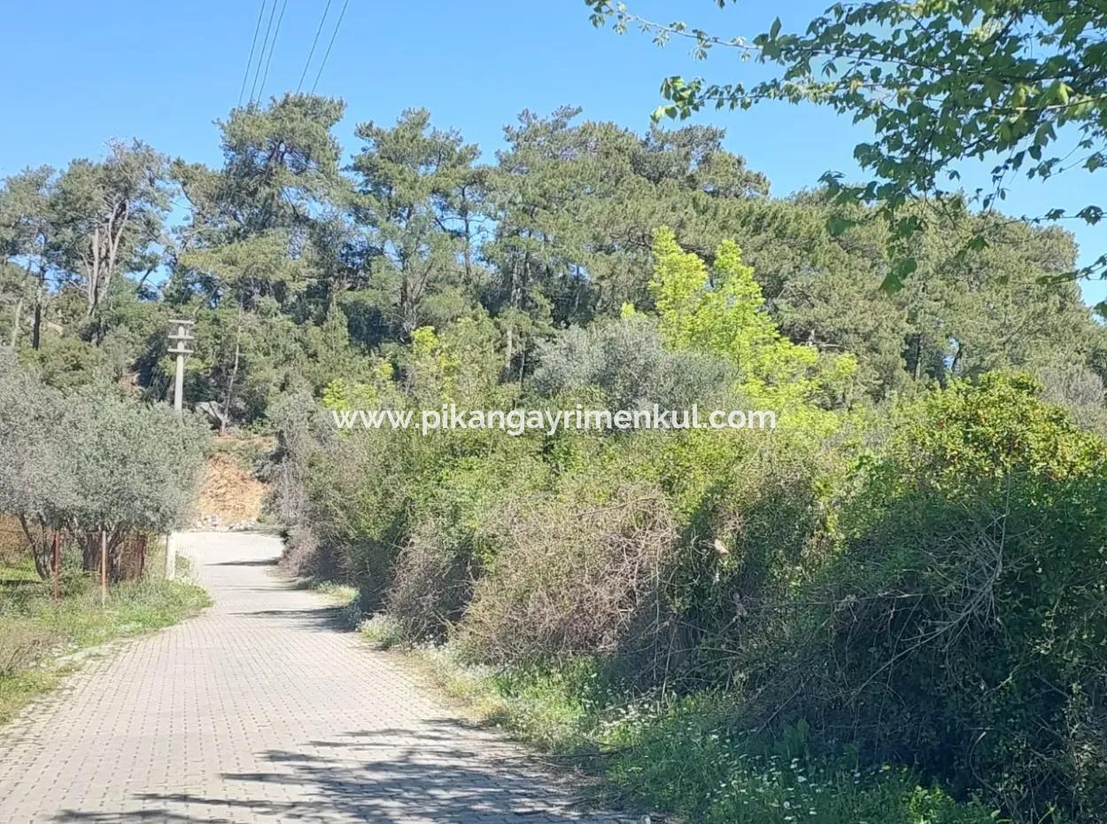 Village House With Lake View And Olive Grove Land For Sale In Köyceğiz Çandır, Muğla