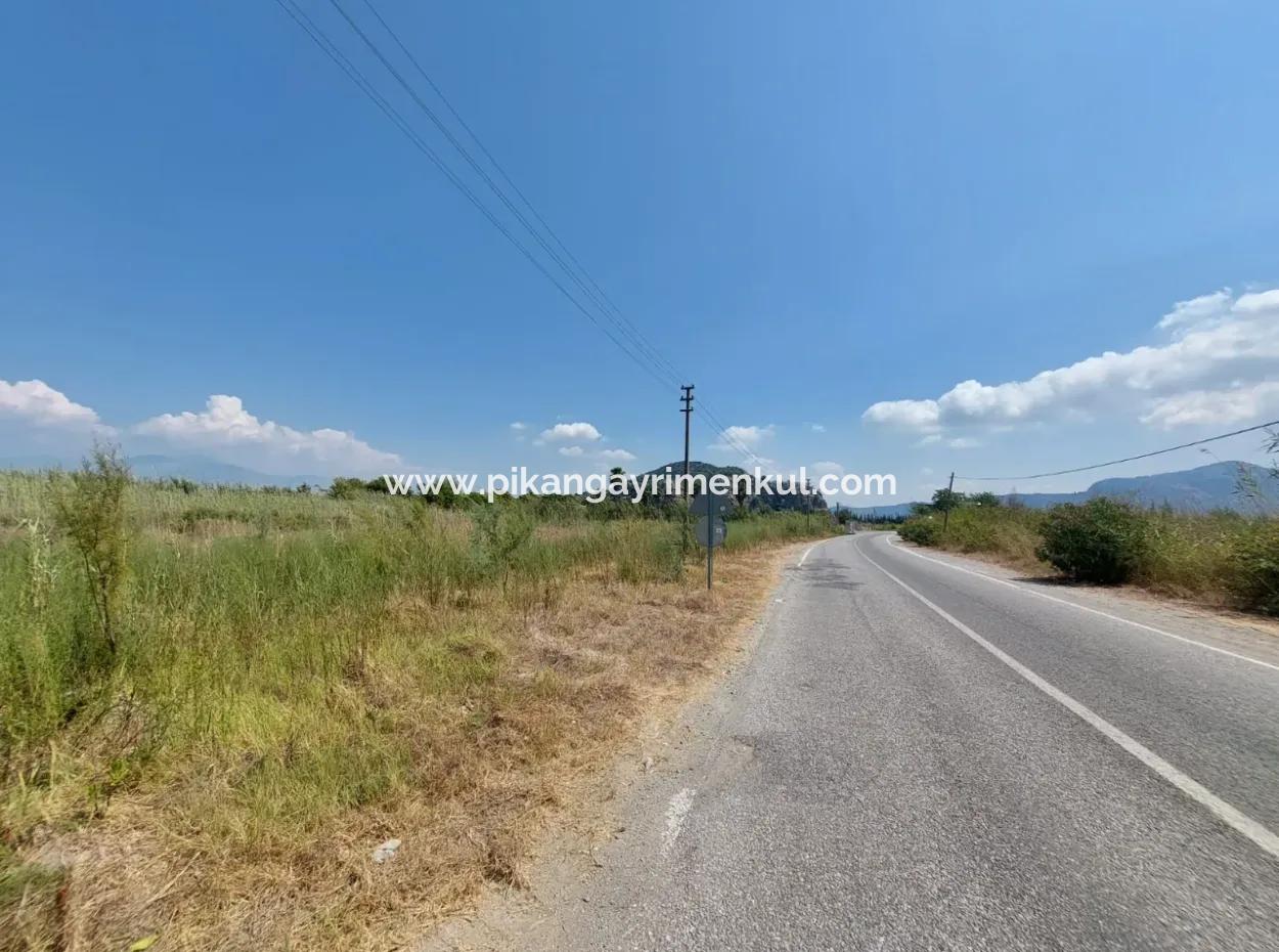 Muğla Ortaca Dalyanda 7.353 M2 Detached Land Close To The Canal For Sale