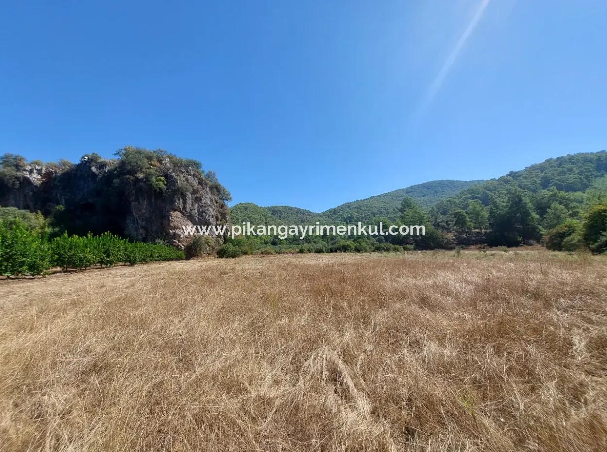 4.427 M2 Fertile Land With Mountain And Nature View In Ortaca Okçular For Sale