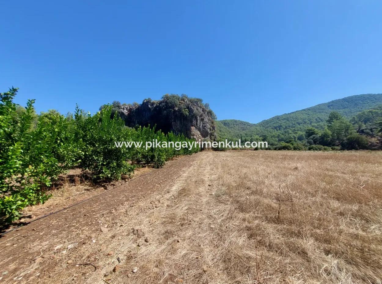 4.427 M2 Fertile Land With Mountain And Nature View In Ortaca Okçular For Sale