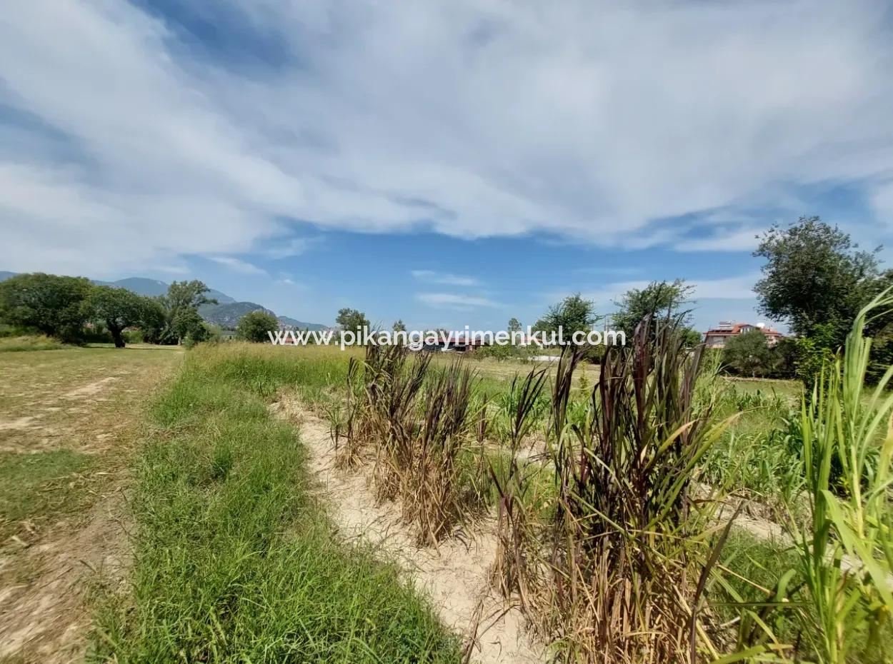 Mountainfront Fertile 1.680 M2 Land For Sale In Dalyan, Muğla