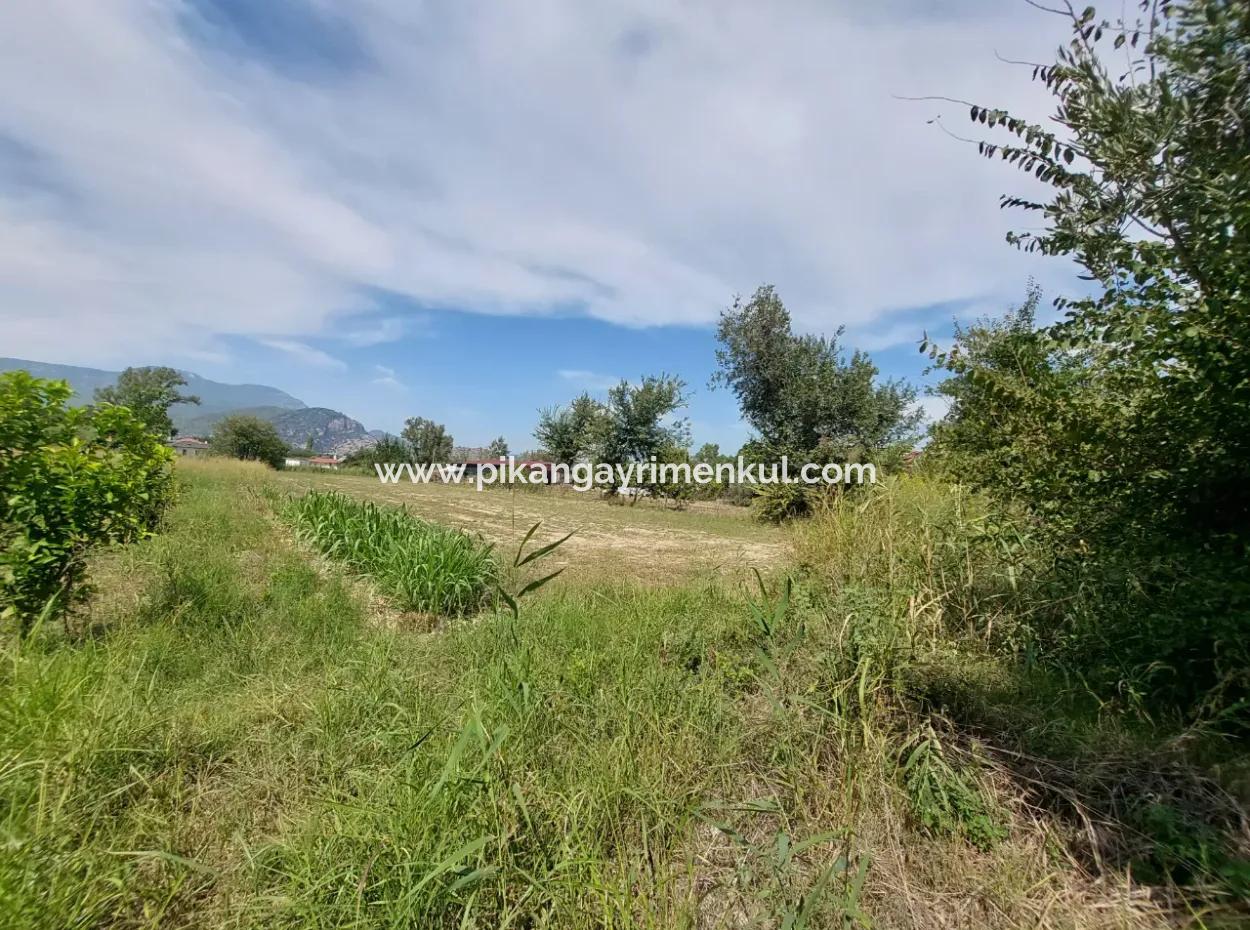Mountainfront Fertile 1.680 M2 Land For Sale In Dalyan, Muğla