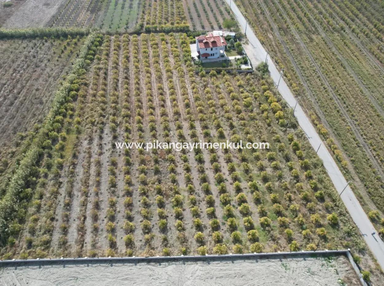 Muğla Dalyanda Canal 2Nd Parcel Detached 5.000 M2, 250 M2 Land With Construction Right For Sale