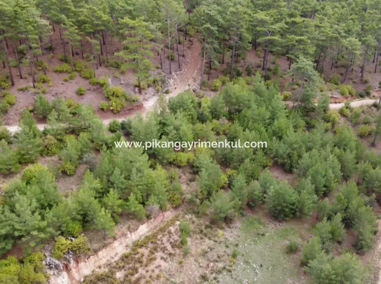 Fethiye Üzümlü Kızılbelde 7.000M2, 250M2 Land For Sale With Construction Rights Suitable For Investment