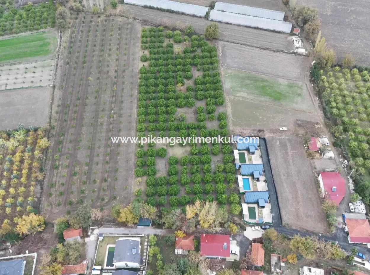 9750 M2 Land For Sale In Ortaca Okçular Zoning Plan Suitable For Investment