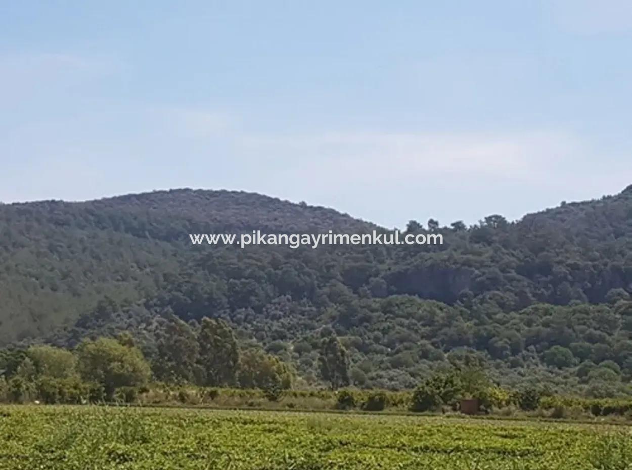 Oriya Eksiliyurt Mah. 26512 M2 Arable Land Also For Sale