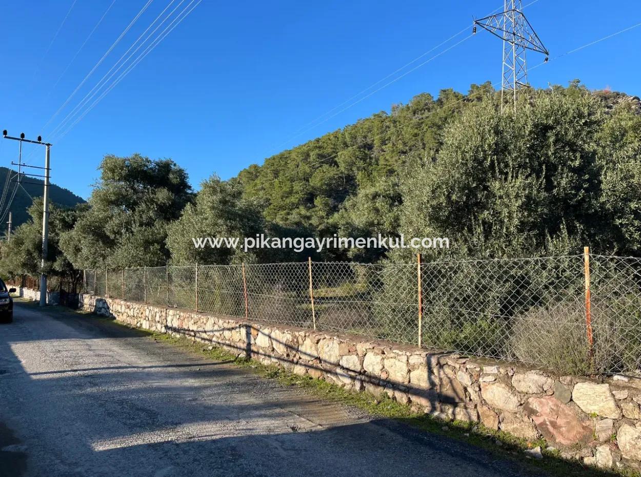 For Sale 3.300 M2 Land Suitable For Deposit In Muğla, Köyceğiz, Ekincik