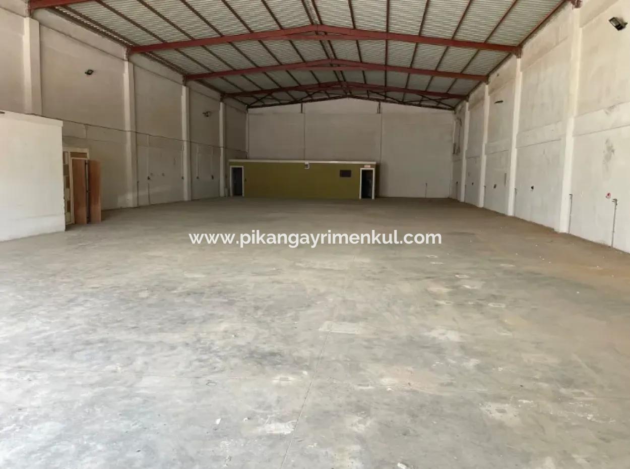 Rental Shop Industry Location 750M2