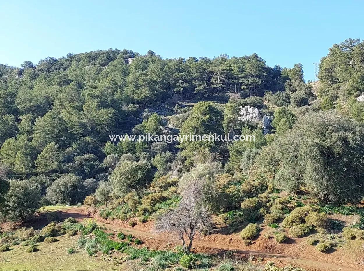 28.350 M2 Land For Sale In Ortaca Gökbelde With Detached Title Deed Sea View