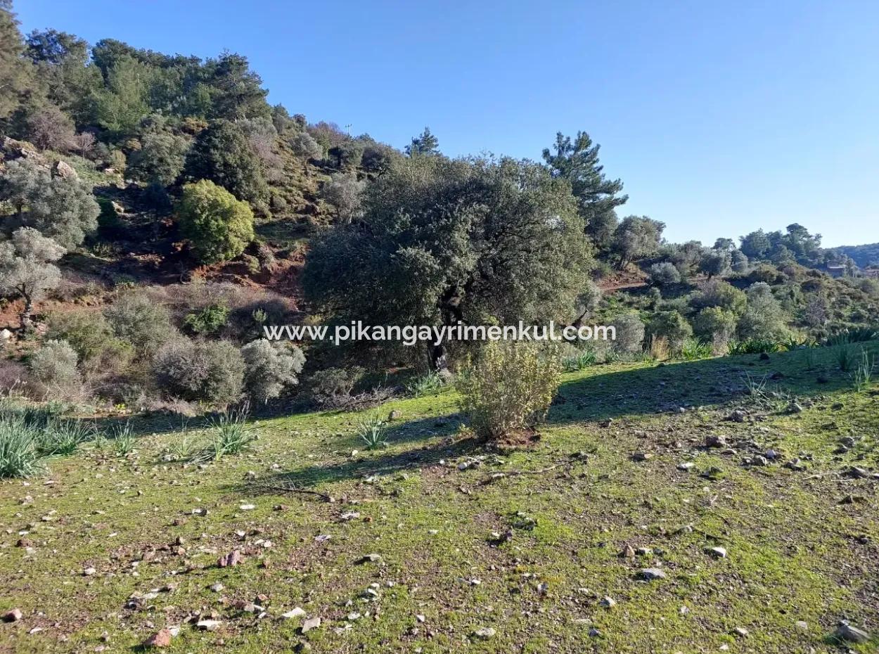 28.350 M2 Land For Sale In Ortaca Gökbelde With Detached Title Deed Sea View