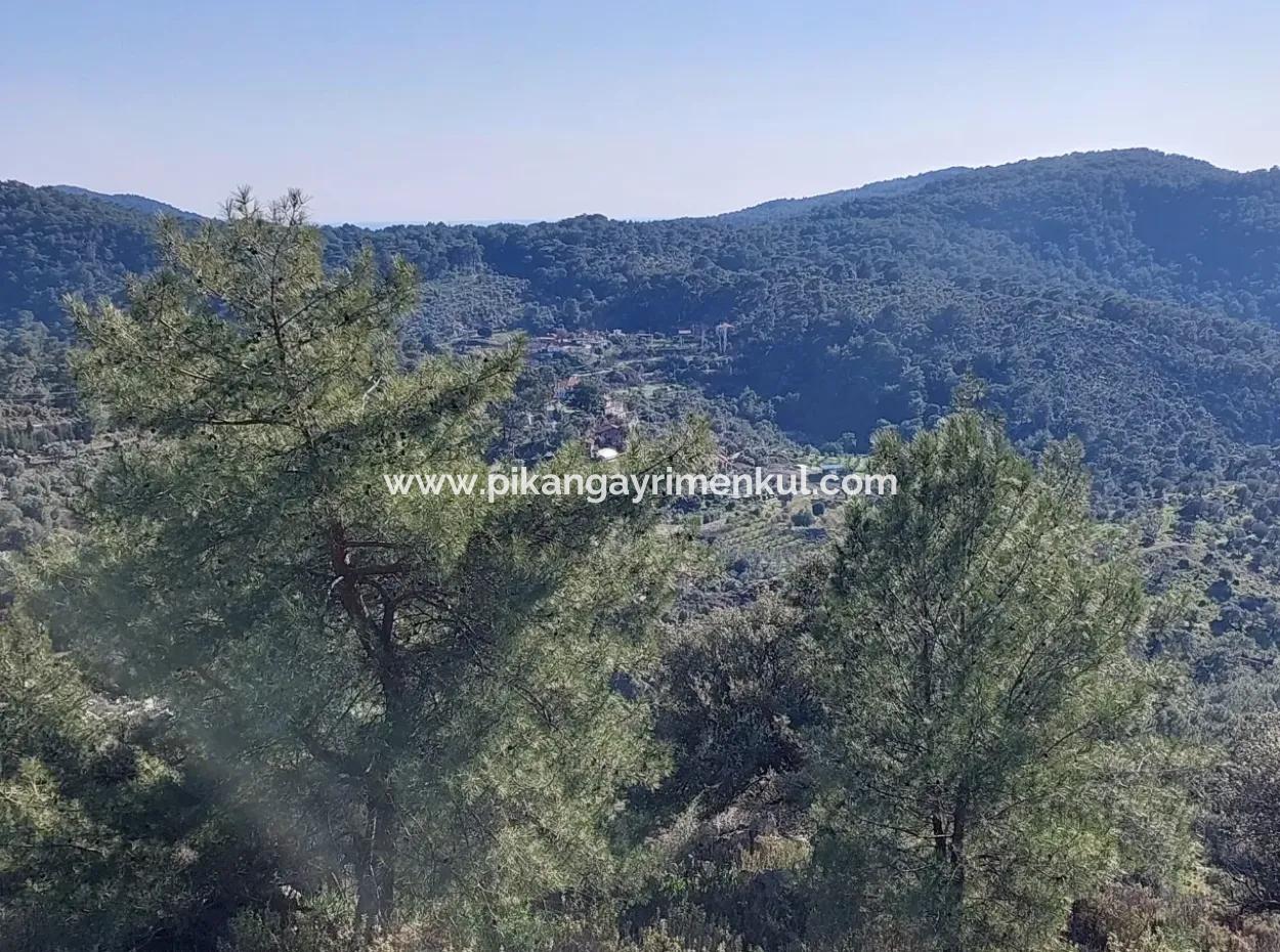 28.350 M2 Land For Sale In Ortaca Gökbelde With Detached Title Deed Sea View